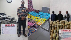 image 750x 692c092ea473f