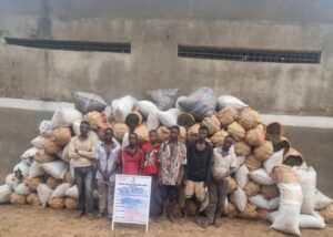 image 750x 692c09355b242