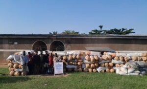 image 750x 692c09380cbb0