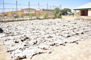 a7f52049 88cb 4ea1 abe3 689e1296d083