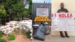 image 750x 69354cfb2937b