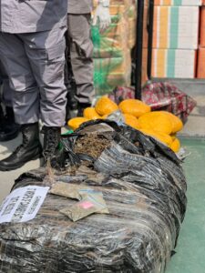 0bca96d3 a25d 47e8 831b ec72dbcec5ef