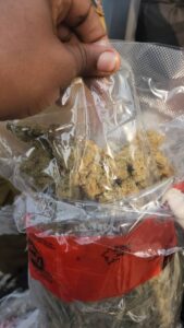 0d43894e 4bbc 4330 8f22 05b9f6540302 1