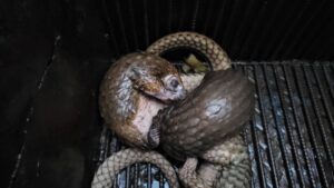 52fdaf23 d204 4354 b099 ed464a9279cc