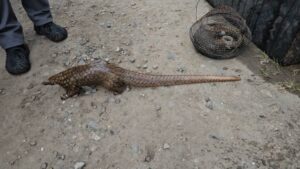 57fc275c 8ece 412b 9a98 6b21bd8afd80