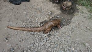 72e5ff80 087a 4dff 894b 8f7544743a18