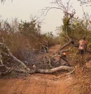 IMG 20260125 WA00102