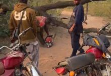 IMG 20260125 WA00112