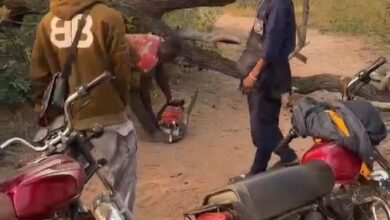 IMG 20260125 WA00112