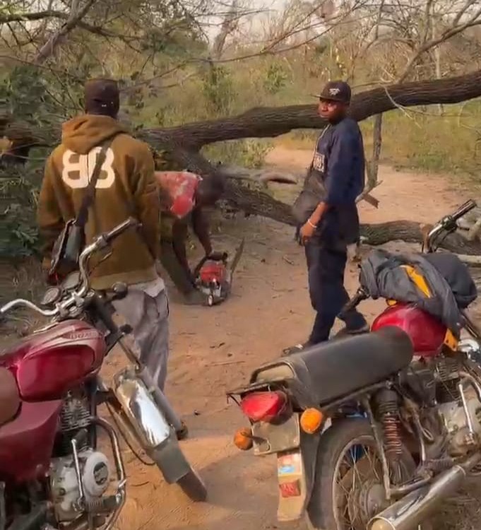 IMG 20260125 WA00112