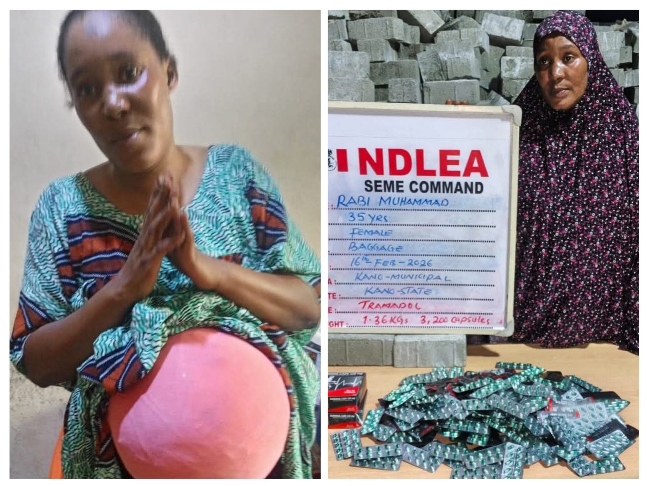 20260222 123950 COLLAGE scaled