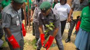 235ec9b3 2e3d 4485 9d6b 7574a7e80c85