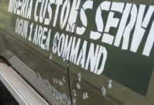 535afa36 33f9 4f94 8f2b 105b4923cd2e 1