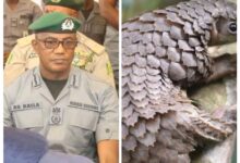 579a5776 2100 4cf7 bd3e 3b6435865af3