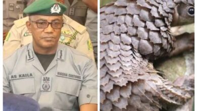 579a5776 2100 4cf7 bd3e 3b6435865af3