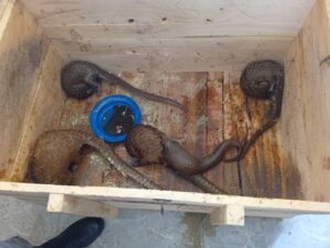 6baddfe8 1c1c 4799 adb2 56d558eb57da