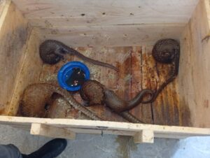 8af84110 f1dd 4014 97e1 8f6535176f59