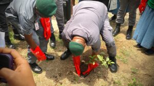 b33d7c7a 76eb 4bb6 94c0 3bf39bb0a8b5