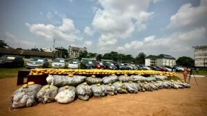 e349a77c 4f65 4b37 92d1 901313898bbf