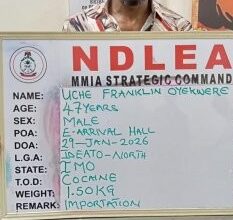 image 750x 697f17e7da92e2