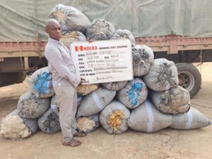 image 750x 697f17ee40393