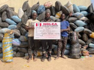 image 750x 697f17f367549