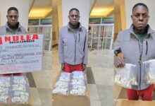 image 750x 698859a4f22e8