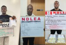 image 750x 6991979ef085c