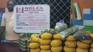 image 750x 699a2223e6da4