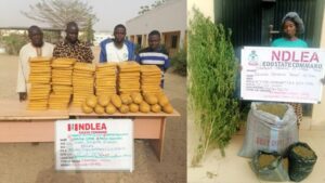 image 750x 699a222f36dbe