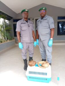 0825edda d4f3 4372 a91e 5db461300856