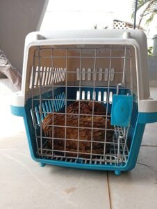 61bda216 e574 4cd0 bb8e 7bd2bbf0b34e