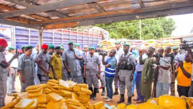 b57cfe67 5247 4966 a234 65f0307a1b25