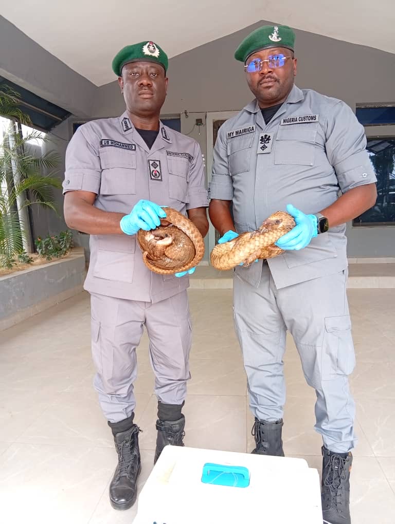 e03462dd d895 4f6a a068 0e5c2182295c