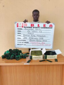 image 750x 69a40ae35ccf7