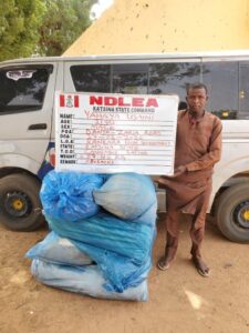 image 750x 69a40ae96130b