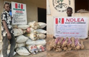 image 750x 69ac8c024d83f