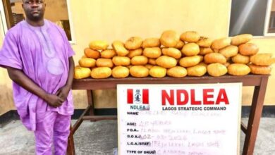 image 750x 69ac8c10a29b3