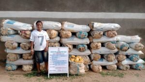 image 750x 69c856a5bb826