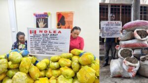 image 750x 69c856b074fc7