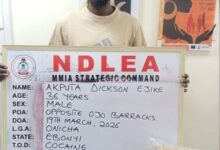 image 750x 69c856be830002