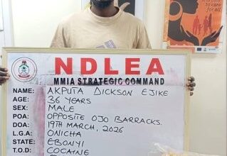 image 750x 69c856be830002