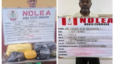 20260412 140923 COLLAGE