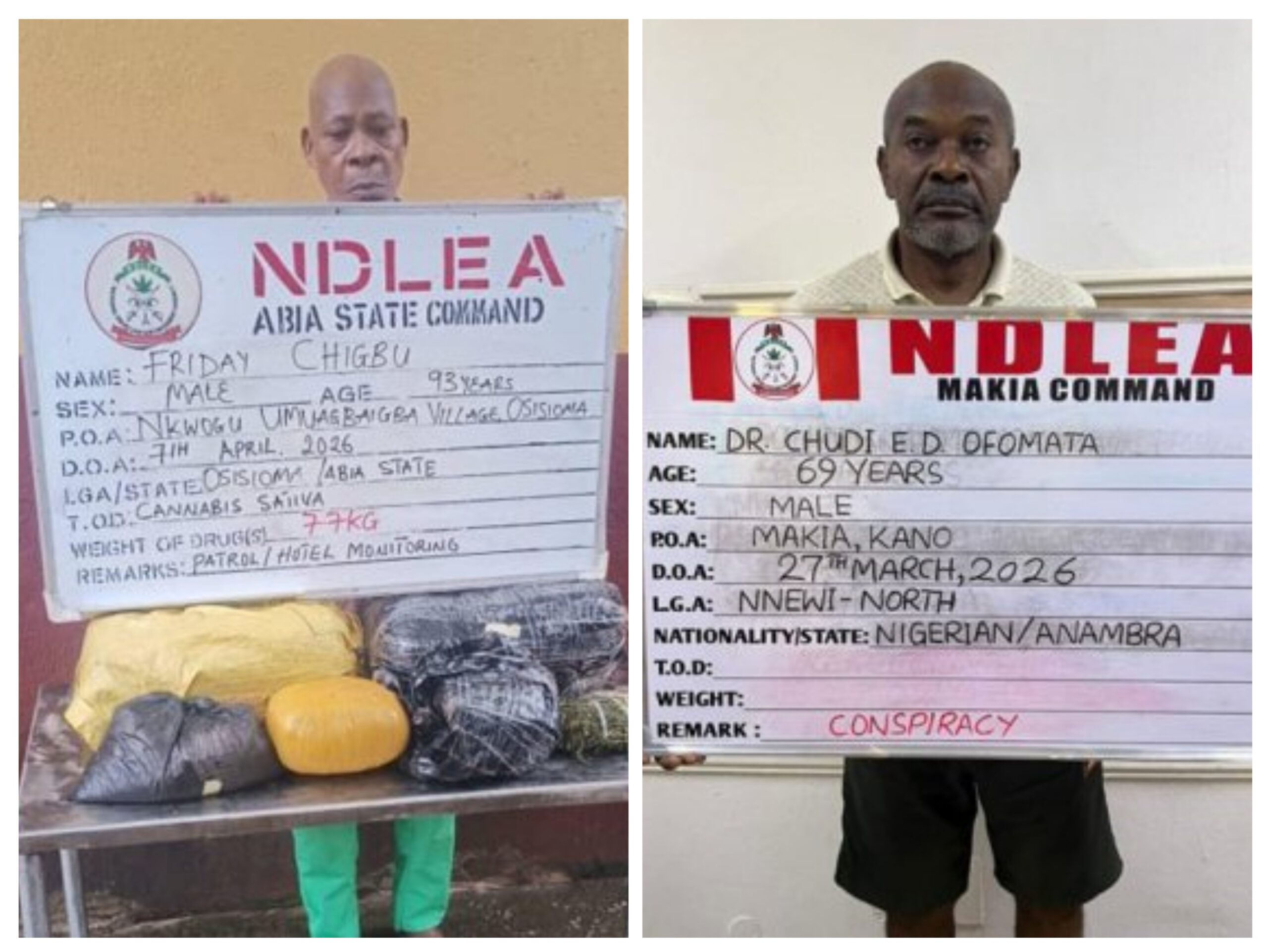 20260412 140923 COLLAGE scaled