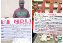 20260426 132549 COLLAGE