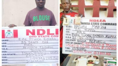 20260426 132549 COLLAGE