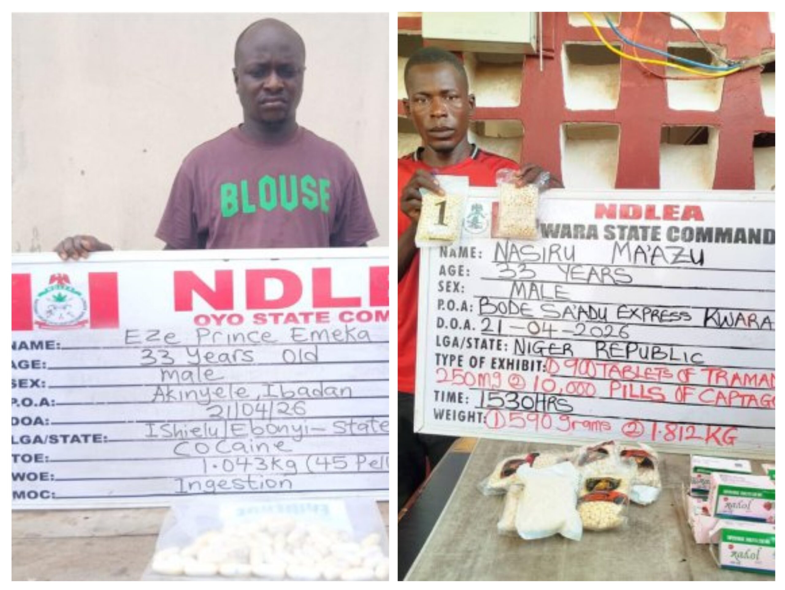 20260426 132549 COLLAGE scaled