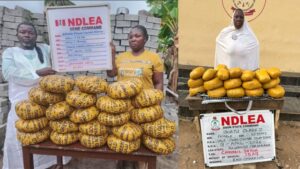 image 750x 69d1d4114d7e0