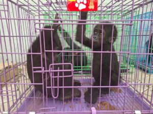 IMG 20260827 WA0025