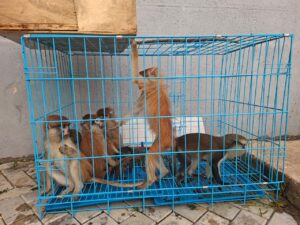 IMG 20260827 WA0029
